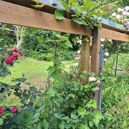 Klein Heemshof - Noord Holland Aan Uw Voeten Warmenhuizen Exteriör bild
