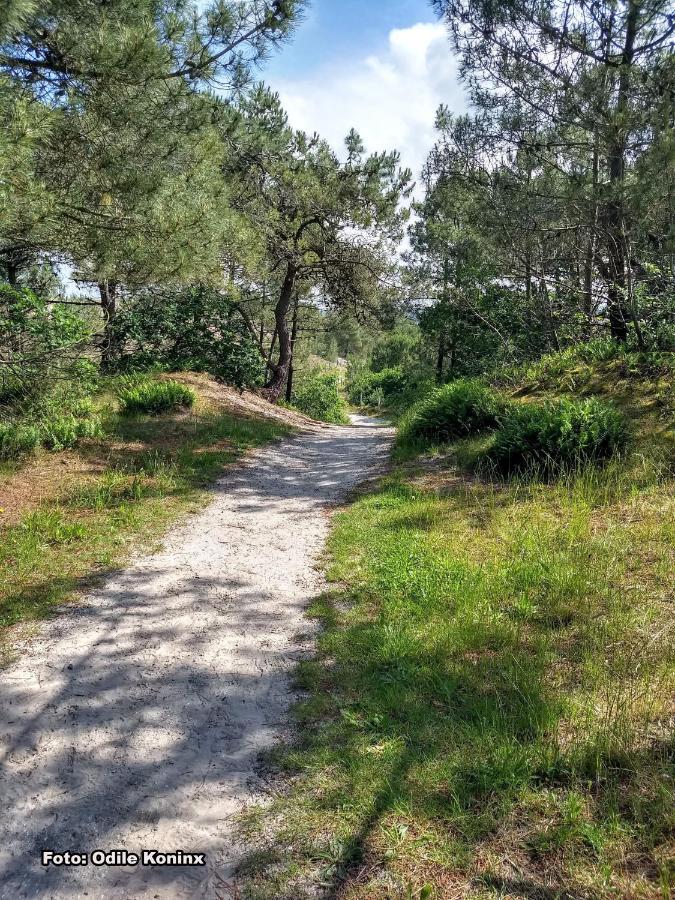 Klein Heemshof - Noord Holland Aan Uw Voeten Warmenhuizen Exteriör bild