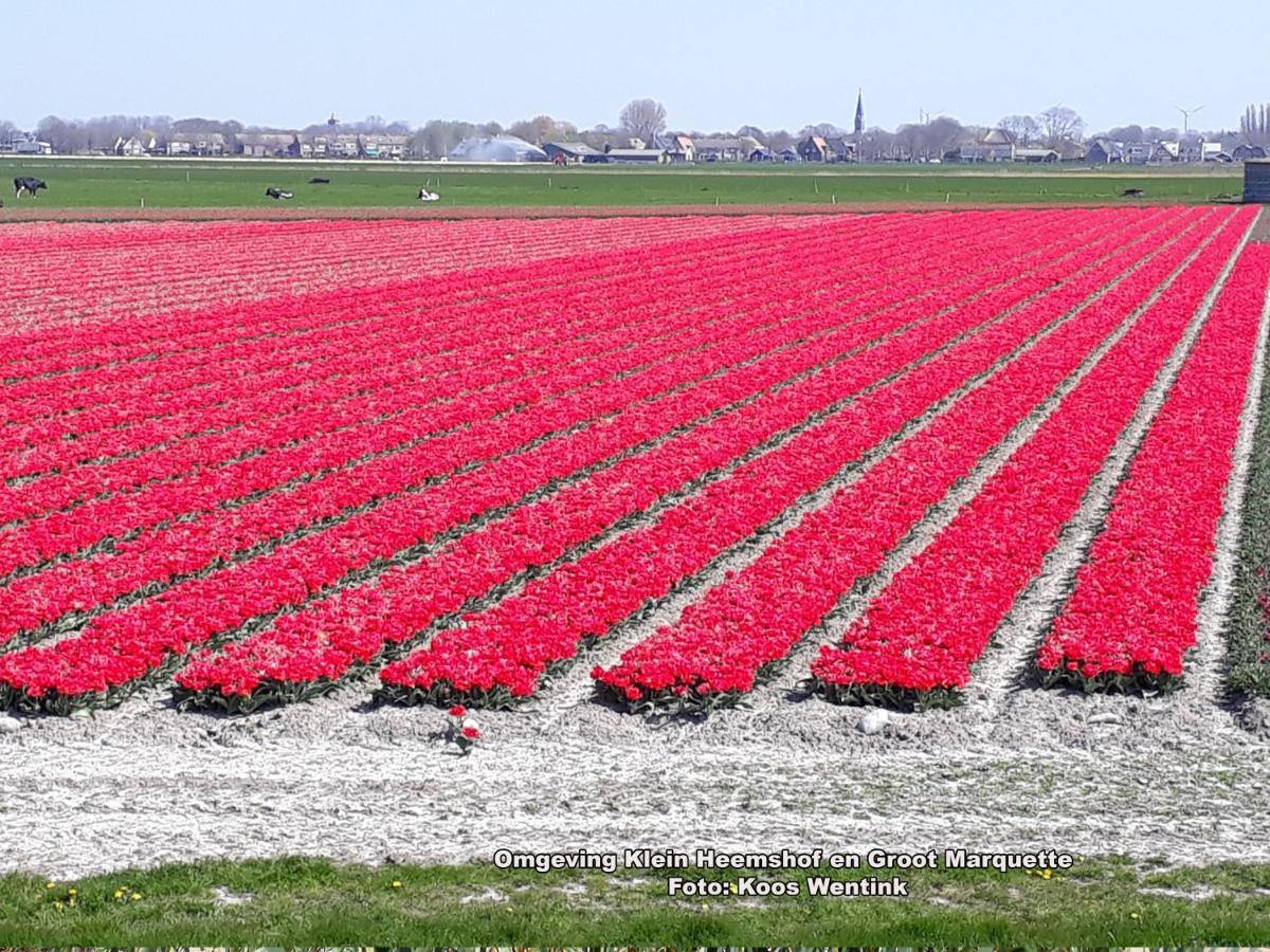 Klein Heemshof - Noord Holland Aan Uw Voeten Warmenhuizen Exteriör bild