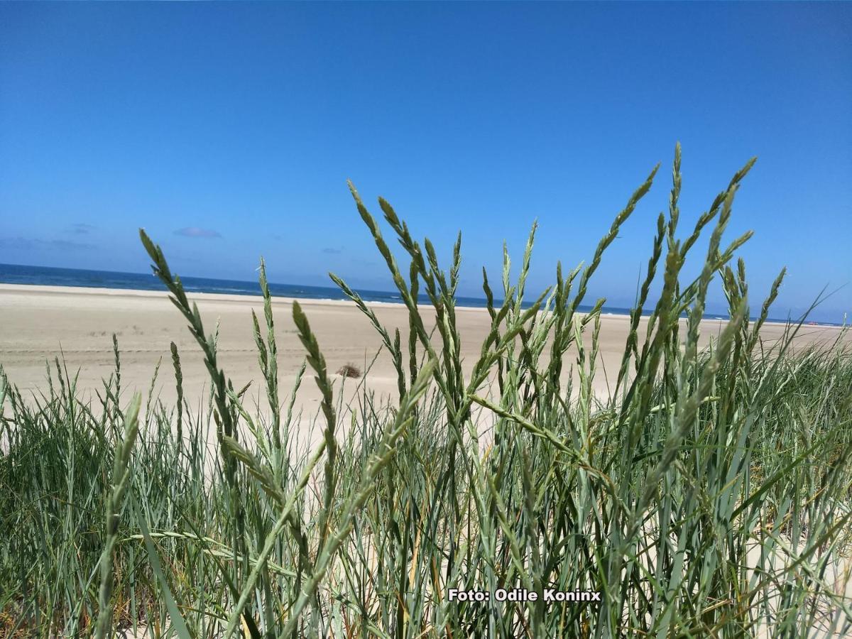 Klein Heemshof - Noord Holland Aan Uw Voeten Warmenhuizen Exteriör bild